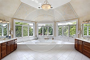 Master bath with windowed tub area