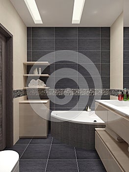 Master bathroom contemporary style