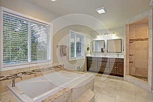 Master bathroom Design With Luxury tub and walk-in shower