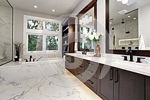 Master bathroom interior in luxury modern home with dark hardwood cabinets, white tub and glass door shower