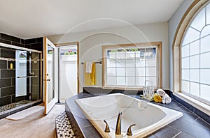 Master bathroom with luxury with bathtub and big windows