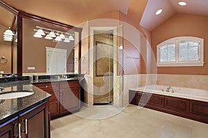 Master bathroom in luxury home