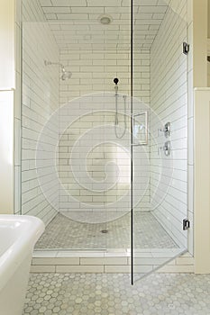 Master Bathroom Shower photo