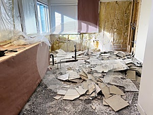 Master bathroom tear down with shower, wall, floor tile and tub removed for remodel