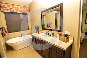 Master Bathroom With Vanity, Bath Tub And Mirror