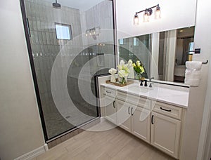 Master Bathroom Vanity And Walk In Shower