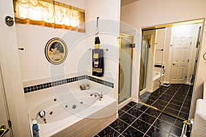 Master Bedroom Bath With Separate Shower And Bathtub