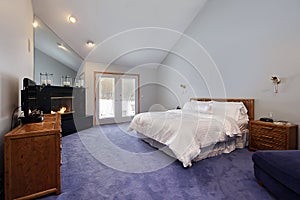 Master bedroom with black fireplace