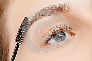 Master brushes eyebrows to woman in beauty salon. Correction of brow hair