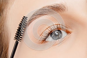 Master brushes eyebrows to woman in beauty salon. Correction of brow hair photo