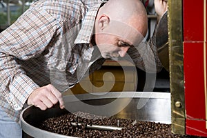 Master Coffee Roaster Checks Cooked Beans