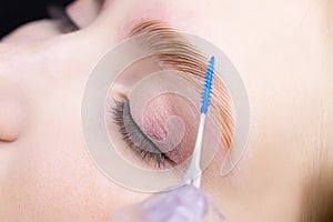 The master combs the eyebrows with a special brush after the eyebrow lamination procedure