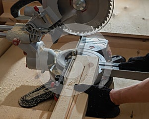 The master cuts the board with a circular saw in the workshop. Close-up of a carpenter& x27;s male hands at work.