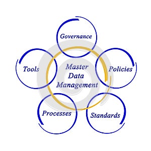 Master Data Management