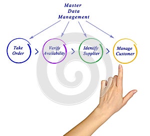 Master Data Management