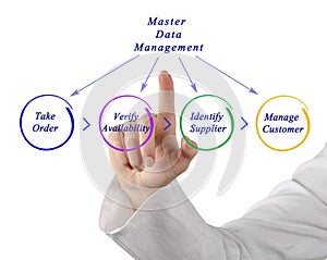 Master Data Management