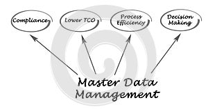 Master Data Management