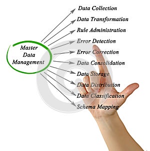 Master Data Management