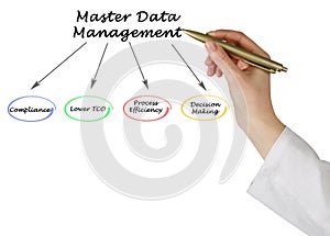 Master Data Management