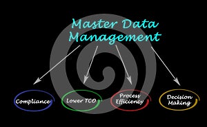 Master Data Management