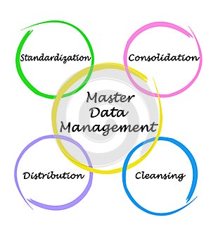 Master Data Management photo