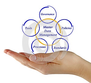 Master Data Management