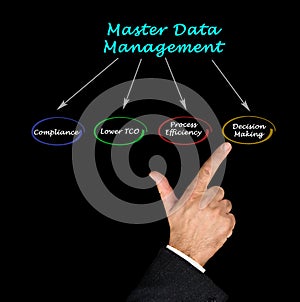 Master Data Management
