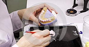 master dental technician prepares a model of dental jaws