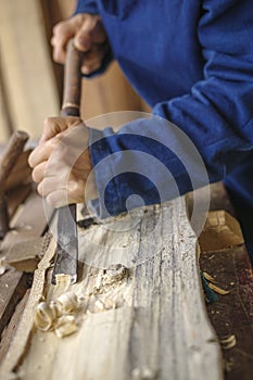 Master Guqin is cutting wood.