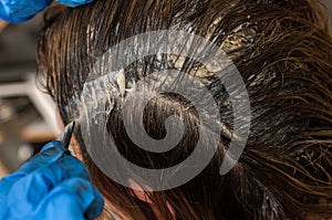 Master hairdresser dyes hair with hair dye