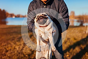 Master holding pug dog in autumn park by river. Man playing with pet.