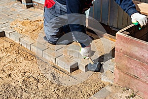 The master in lays paving stones in layers. Garden brick pathway paving by professional paver worker. Laying gray concrete paving