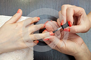 The master of the manicure paints nails with nail polish during the procedure of nail extensions with gel