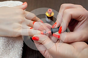 The master of the manicure paints nails with nail polish during the procedure of nail extensions with gel