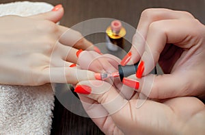 The master of the manicure paints nails with nail polish during the procedure of nail extensions with gel photo