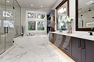Master modern bathroom interior in luxury home with dark hardwood cabinets, white tub and glass door shower