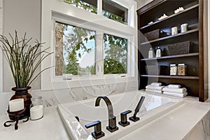 Master modern bathroom interior in luxury home with dark hardwood cabinets, white tub and glass door shower