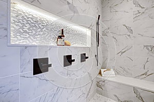 Master modern bathroom interior in luxury home with white showe