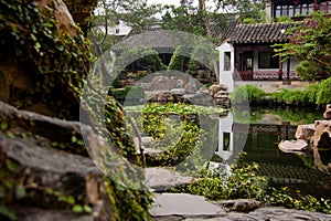 Master of the Nets Garden