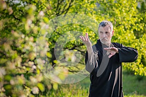 A master practices tai chi in a sakura garden