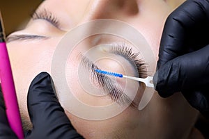 The master`s hands holding the brush the master directs the growth of hairs after lamination of the eyebrows