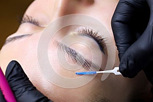 The master`s hands holding the brush the master directs the growth of hairs after lamination of the eyebrows