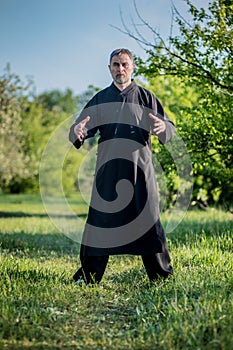Master of taijiquan standing meditation in the Park