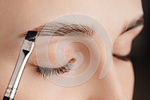 Master tinting of eyebrow hair women, brow correction