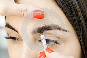 Master tinting of eyebrow hair women, brow correction