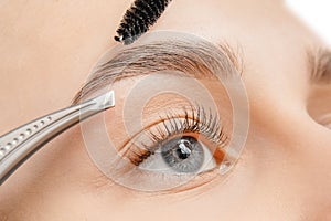 Master tweezers depilation of eyebrow hair in women, brow correction