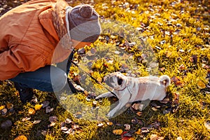 Master walking pug dog in autumn park. Man talking to puppy. Training commands