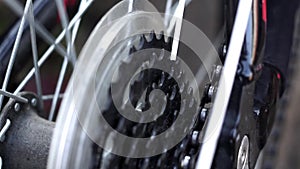Masters, lubricate the bicycle chain of a mountain bike with a special lubricant in the home workshop. Cleaning and