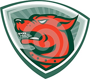 Mastiff Dog Mongrel Head Crest