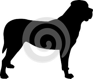 Mastiff silhouette black